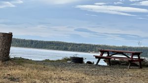 Cluxewe RV Resort, Vancouver Island: Camp Where The River Meets The Sea