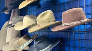 Harvest Hosts Stay: A Visit With The Hat Doctor Merritt, BC