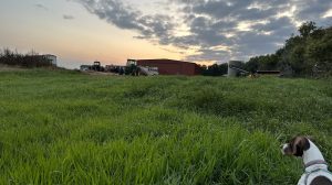 Boondockers Welcome Program: Farm Stay In North Dakota Boondockers Welcome Program: Farm Stay In North Dakota