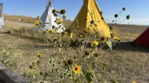 Little Bighorn, Wyoming