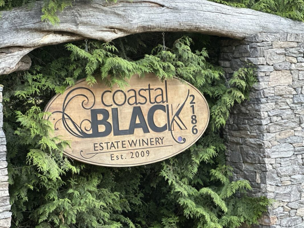 Good Morning! from Coastal Black Winery In Black Creek, BC
