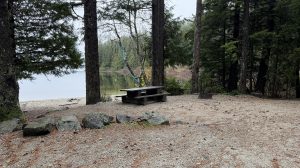 3 Ways To Find Free Camping On Vancouver Island Without Reservations