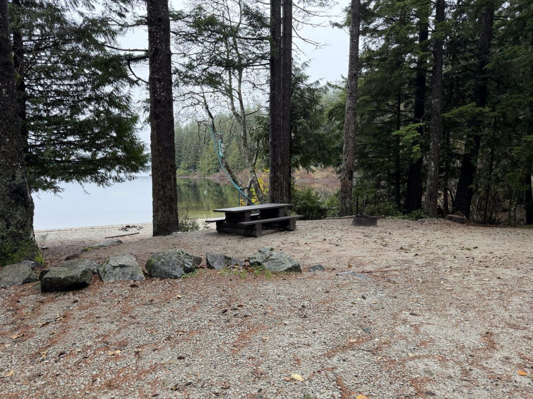 3 Ways To Find Free Camping On Vancouver Island Without Reservations