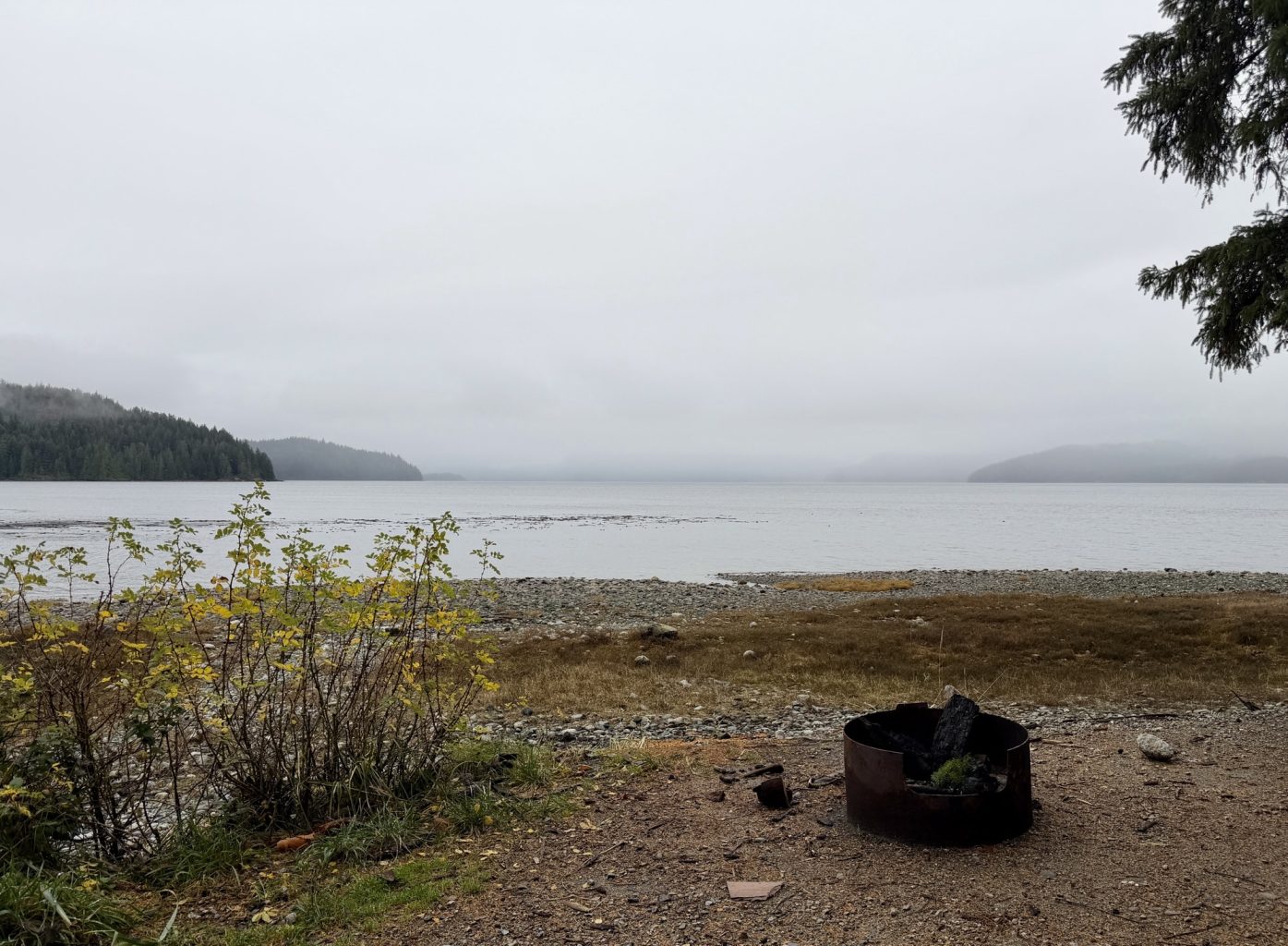 Free Campsite at Elk Bay Recreation Site