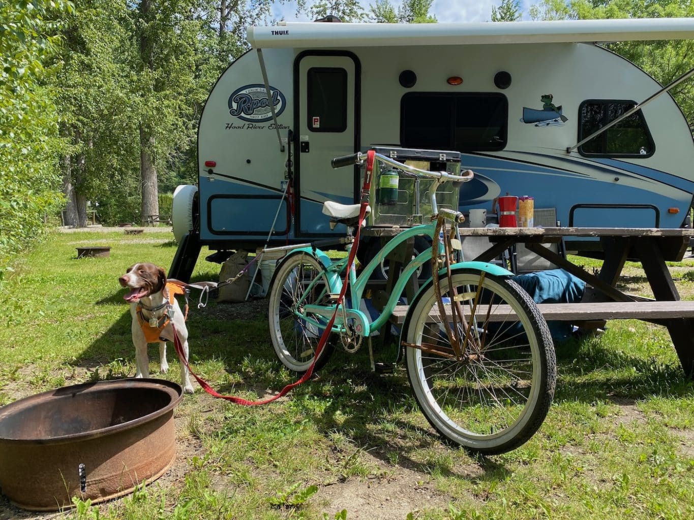 Bikejoring in Winnipeg