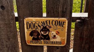 Pet-Friendly RV Travel: A Complete Planning Guide for Stress-Free Adventures