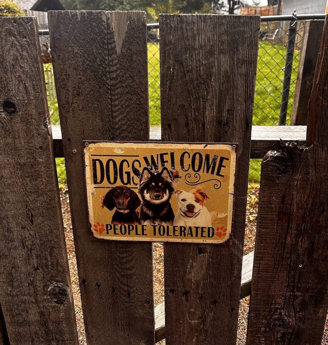 Pet-Friendly RV Travel: A Complete Planning Guide for Stress-Free Adventures