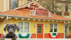 Dog Friendly Attractions In The US And Canada