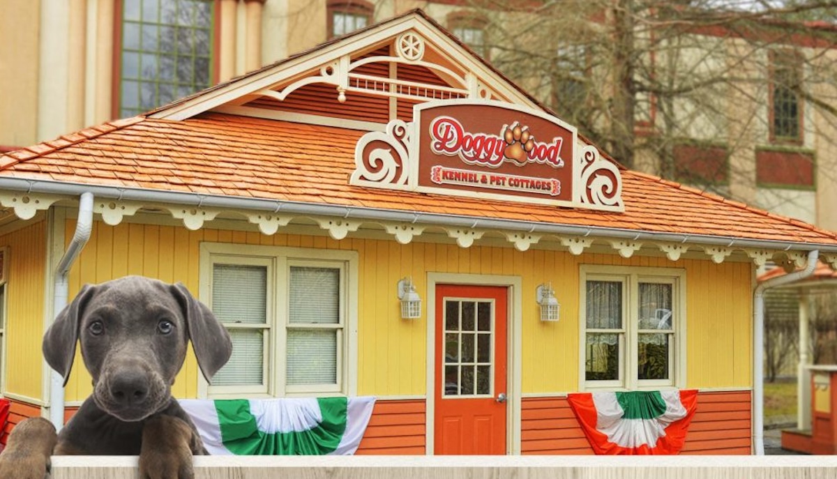 Dog Friendly Attractions In The US And Canada