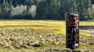 5 Vancouver Island RV Winter Destinations For Canadian Snowbirds